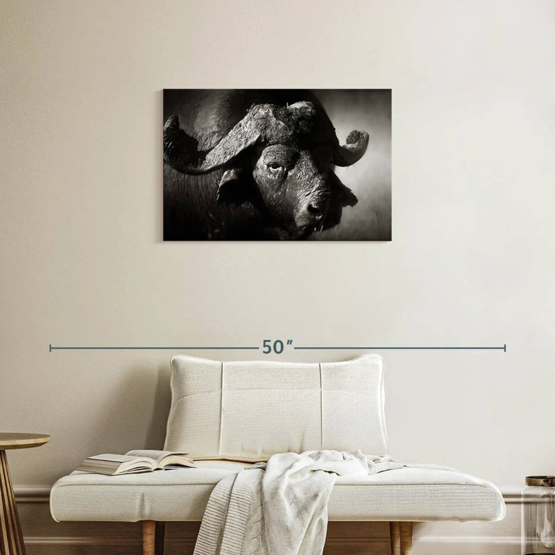 Buffle d'Afrique sauvage Brampt, H 20 po x l 30 po
