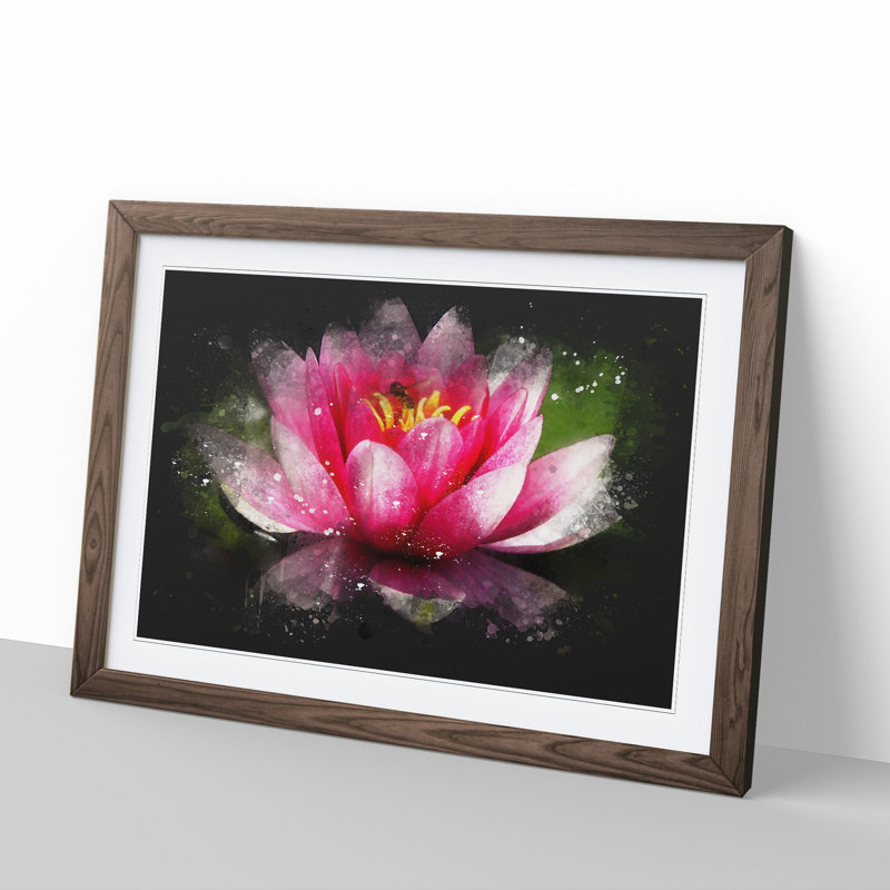 Pink Water Lily Flower Vol.3 - Picture Frame Graphic Art, Walnut Framed, 27cm H x 36cm W x 2cm D