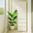 Elise Slim Modular Wood Closet Cabinet with Drawers in White