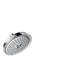 Raindance Classic Rain Fixed Shower Head with AirPower-41425644