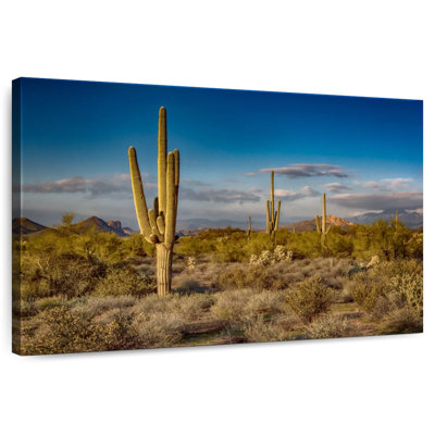 Harnek Arizona Desert Cactus