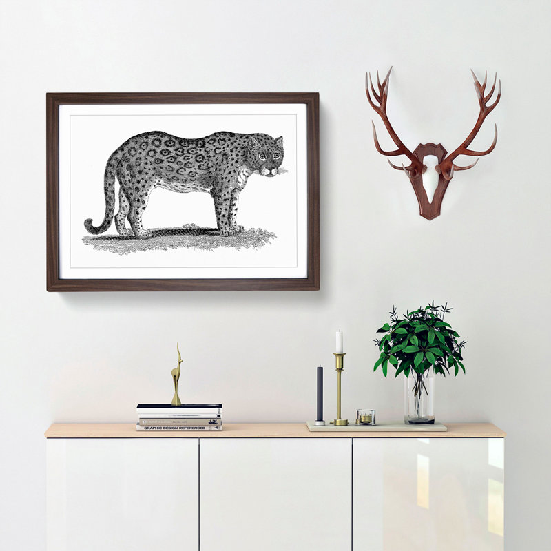 Leopard in Black & White by George Shaw - Framed Print, 36cm H x 48cm W x 2cm D, Walnut Framed