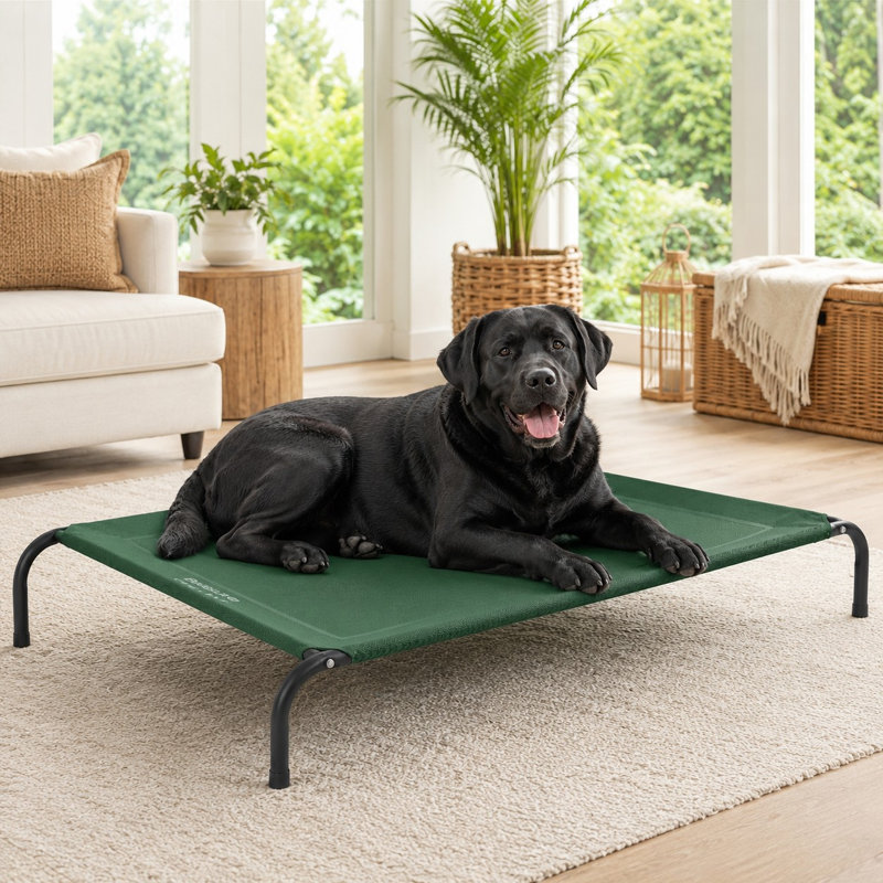 Lit d'extérieur pour chien 49 po, Green