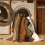 Tapis Dune Waves-722112447
