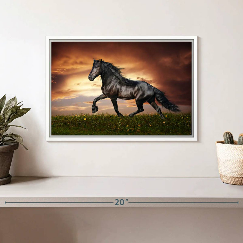 Cheval baroque, Cadre flottant blanc, 13 po x 9 po