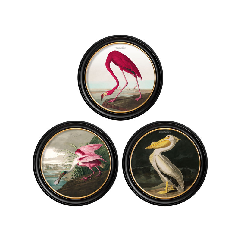 Flamingo Light Background In Round Frame by Audubon - Single Picture Frame Print on Archival Matt 230gsm Paper