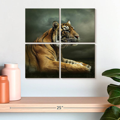 Brampt Stoic Tiger