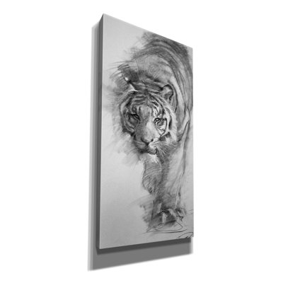 Latitude " Tiger Approaching Sketch " by Robert Campbell