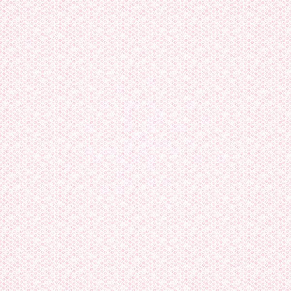 Ditzy Daisy Wallpaper in Pink and White