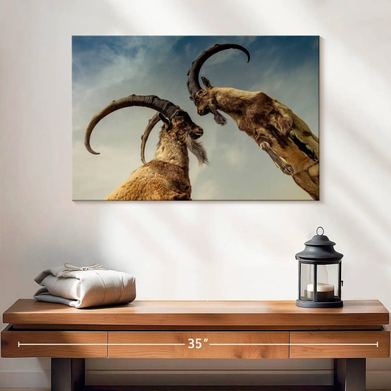 Brampt Goat Clash, 16" H x 24" W