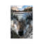 « loup » par paul haag-impression sur image-49716996-49717000