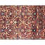 Oriental Area Rug