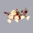 Romantic Floral Ceiling Light With Blossom Design