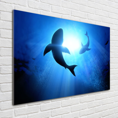 Glass Print Wall Art 100X70cm Image Printed On Glass Decorative Wall Picture Behind Toughened / Tempered Safety Real Glass For Kitchen & Living Room Theme:Two Sharks