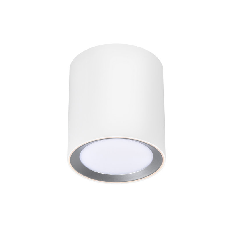 Flush Mount, White