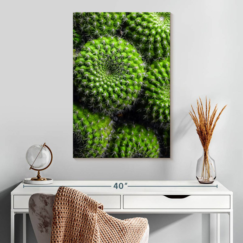 Cactus Harnek, H 30 po x l 20 po
