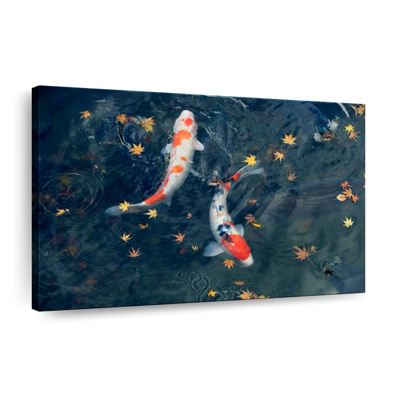 Automne Koi sur toile, H 8 po x l 12 po x P 1 po
