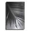 «Palm Frond II» par Debra Van Swearingen-1627799782