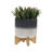 Kevana Ceramic Pot Planter