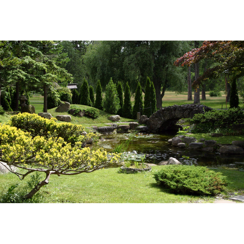 Beardstown Botanical Garden - Wrapped Canvas Print, 20cm H x 30cm W x 3.8cm D