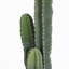Faux plante de cactus 40,16 po