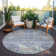 Machine Washable Indoor/Outdoor Chantille ACN1112 Taupe Rug