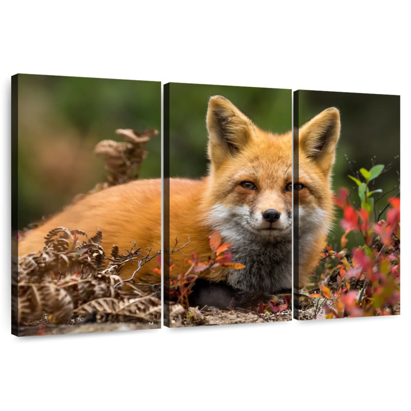 Happy Fox, 36" H x 57" W