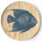 Evgenii 9" Melamine Salad Plate Set