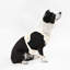 Harnais pour animal de compagnie Arlo-128618013-112400936