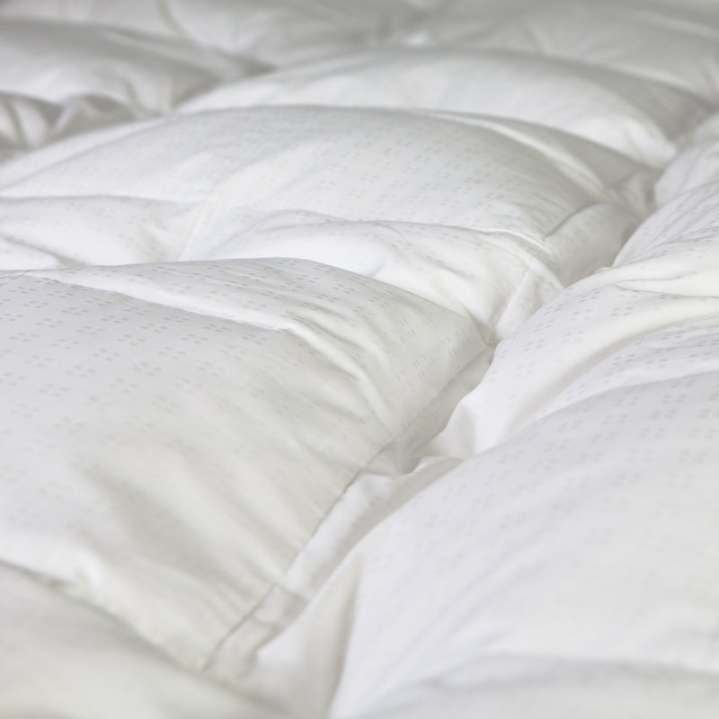 Burlwood 2'' Down Mattress Topper, Queen