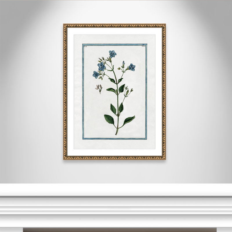 Colombe Shabby Elegance Botanical II - Art encadré, Cadre en perle d'or, L 26,5 po x H 36,5 po