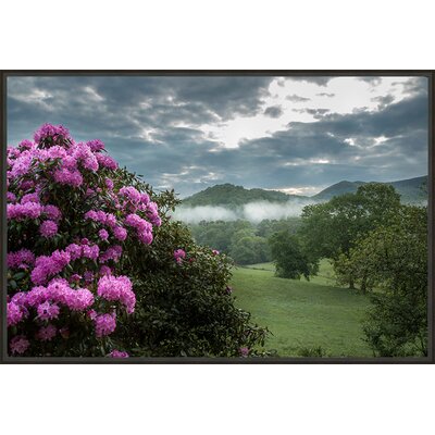 Country Colors 'Rhodies Along the Pasture' Framed Photographic Print on Canvas -  Ashton Wall Décor LLC, 6807