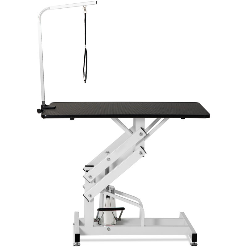 Table de toilettage pour chien Pico