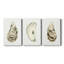 Neutral Oyster Study I - Toile tendue sur mesure avec châssis - 3 pièces-2095360721
