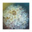 «Hydrangea» par Lisa Audit - impression sur toile tendue-33408894