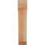 Attelle impériale du genou-31229279-29309856-31229259