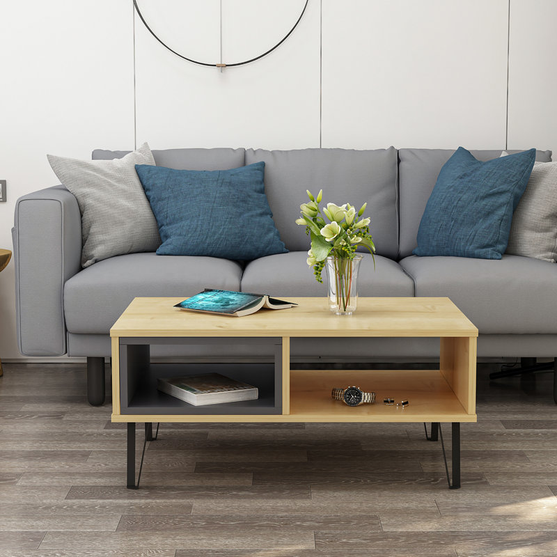 Medota 4 Legs Coffee Table with Storage, Oak/Black
