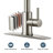 Pull Down Single Handle Kitchen Faucet With Deck Plate, Handles and Supply Lines-86502923