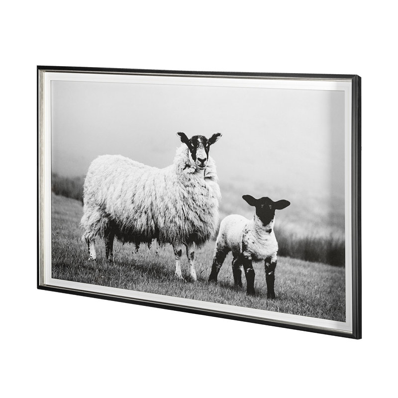 «Islay Sheep I» par Laura Marshall, reproduction d'art encadrée sous verre, Lady Sheep I