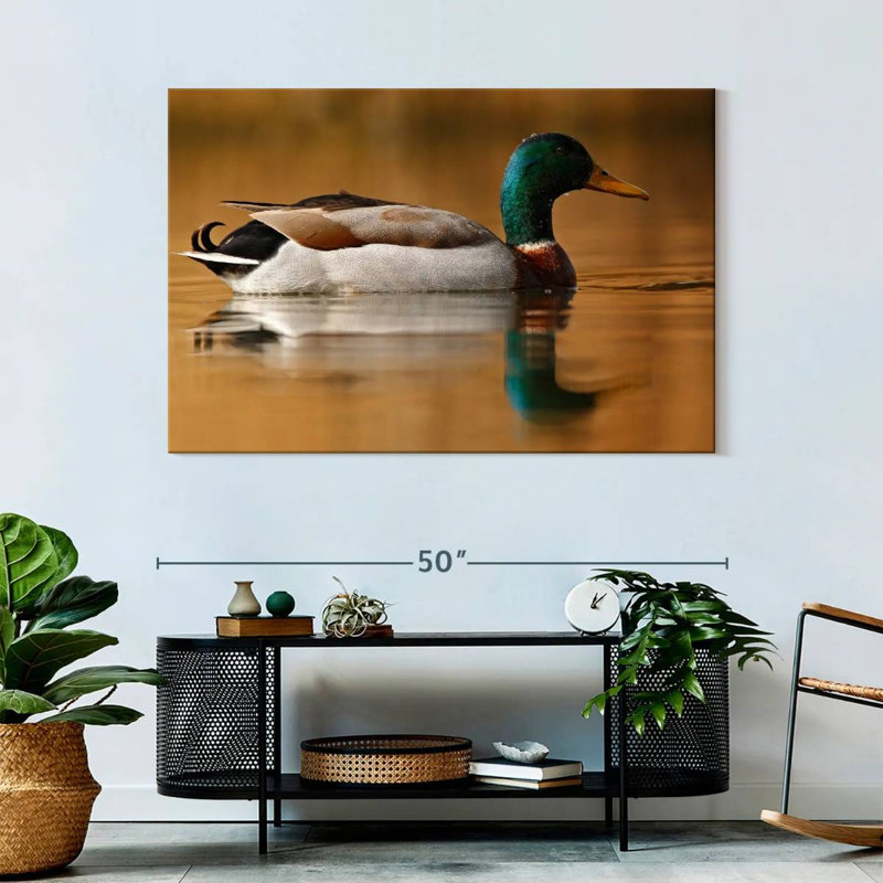 Brampt Bathing Mallard Duck, 32" H x 48" W