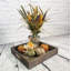 Arrangement de récolte d'automne-24490982