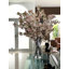Cherry Blossoms In 16" Glass Cylinder-454575418