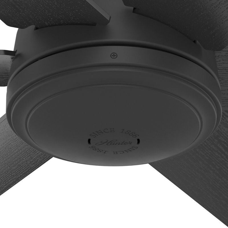 52" Jetty 6 - Blade Outdoor Ceiling Fan with Wall Control, Black