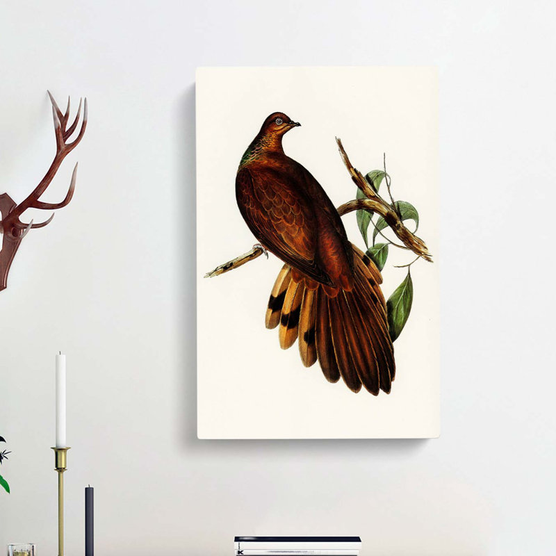 Pheasant-Tailed Pigeon by Elizabeth Gould - Wrapped Canvas, 76cm H x 50cm W x 3cm D