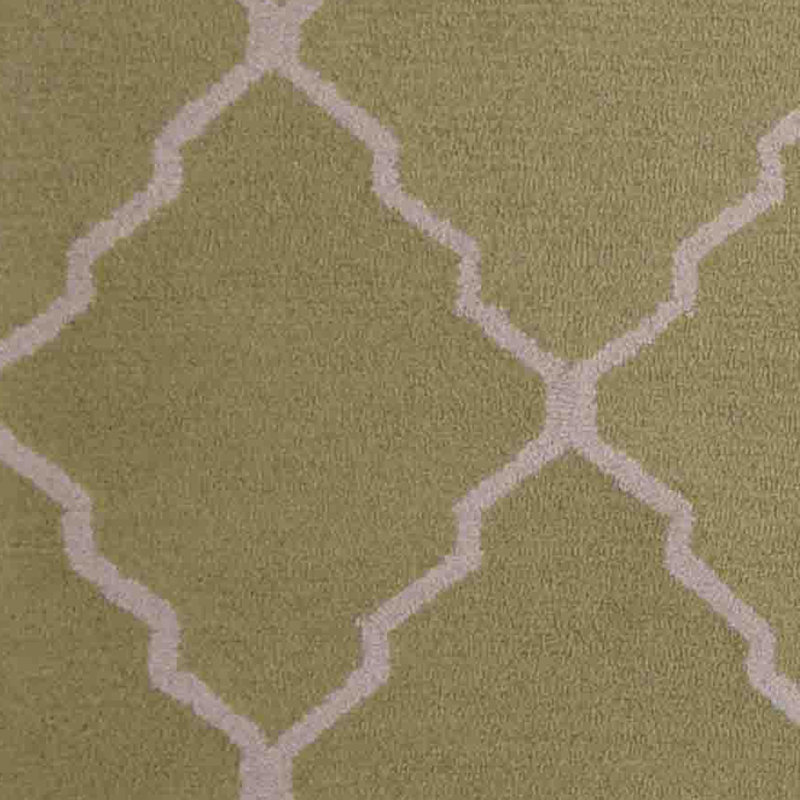 Tapis intérieur vert clair / beige touffeté à la main, Rectangle 5 pi x 7 pi