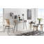 Padmini Dining Chair