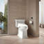 C3® Toilet Seat Bidet Elongated Bidet Seat-167313905