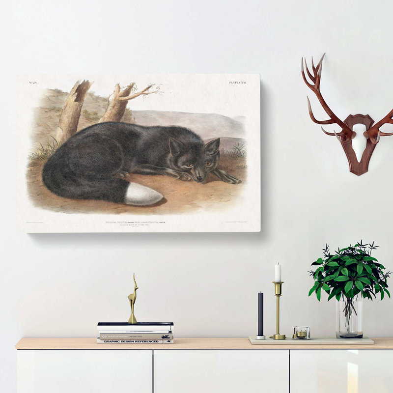 American Black Fox - Wrapped Canvas Painting, 35cm H x 50cm W x 3cm D
