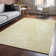 Premium Machine Washable Cerrito AMF591 Wheat Rug