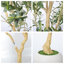 Olive artificielle 8,2 pi avec jardinière blanche pour l'intérieur